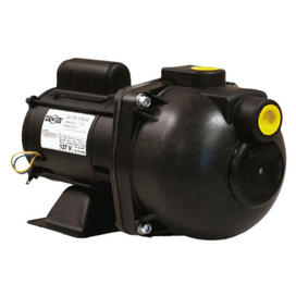 Bomba Pratika Autoaspirante AP-3C 3/4 CV Dancor