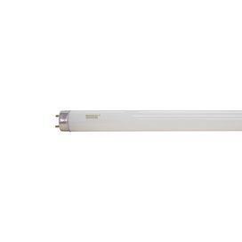 Lâmpada Fluorescente Tubular Convencional/Eletrônica T8 36W 6400K Taschibra