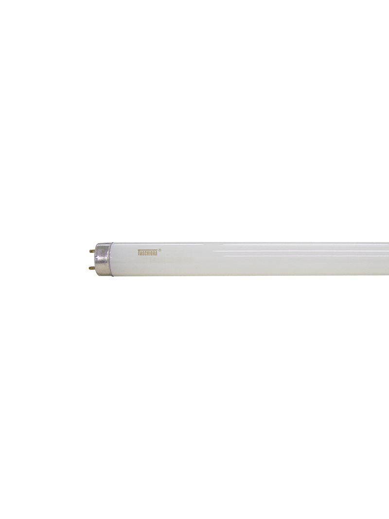 Lampada-Fluorescente-Tubular-Convencional-Eletronica-T8-36W-6400K-Taschibra