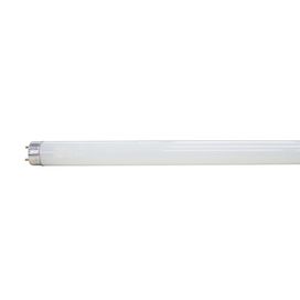 Lâmpada Tubular Led T8 60CM 9,9W 4000K Taschibra