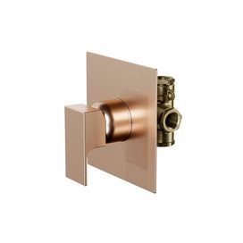Misturador Monocomando Chuveiro / Banheira / Ducha Higiência 6416 CH330 Retta Champanhe Fani