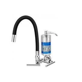 Torneira Cozinha de Parede com Filtro Omega C61 Preta Cromado Esteves