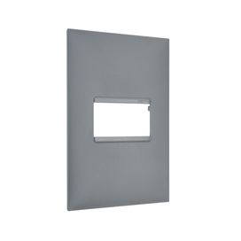 Placa 1 Posto 4x2 Cinza Plus+ Pial