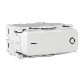 Módulo Interruptor Bipolar Simples 10A 250V Branco  Weg Composé