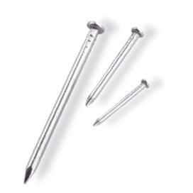 Prego Aço Com Cabeça 1,60X25Mm Com 100 Peças Bemfixa