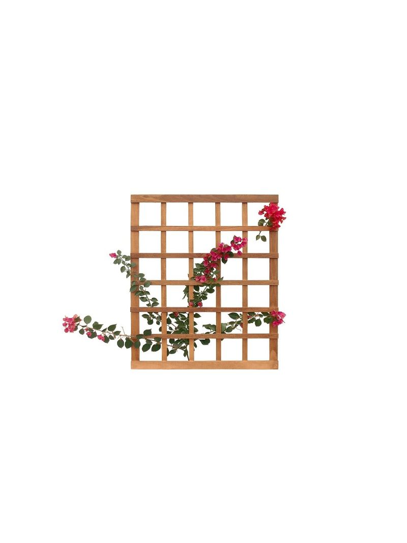 Trelica-Eucalipto-Stain-Jatoba-T780-Massol-