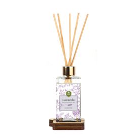 Vidro Difusor Lavanda 250ml Incolor Floresta Verde