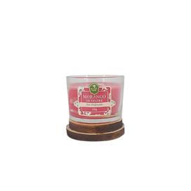 Vela Vidro Morango Silvestre 100g Vermelho Floresta Verde