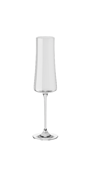 Taça para espumante Pleasure 210ml Haus Concept 26,3 x 7 cm