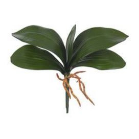 Folha Orquídea Phalaenopsis com Arame 26cm Verde Flor Arte
