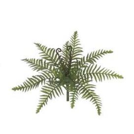 Samambaia Real Toque com Print 27cm Verde Flor Arte