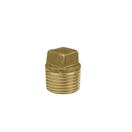 Plug Tampão RM 3/4 Ramo