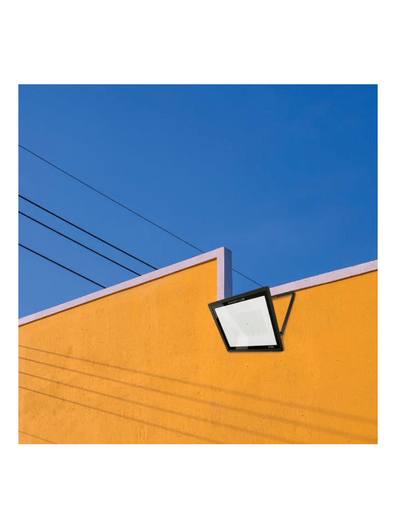 2243921-1