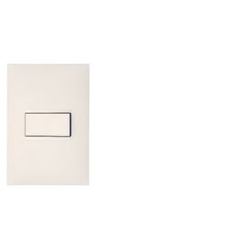 Conjunto 4x2 Interruptor Paralelo 10A Plus+Branco 250V Pial