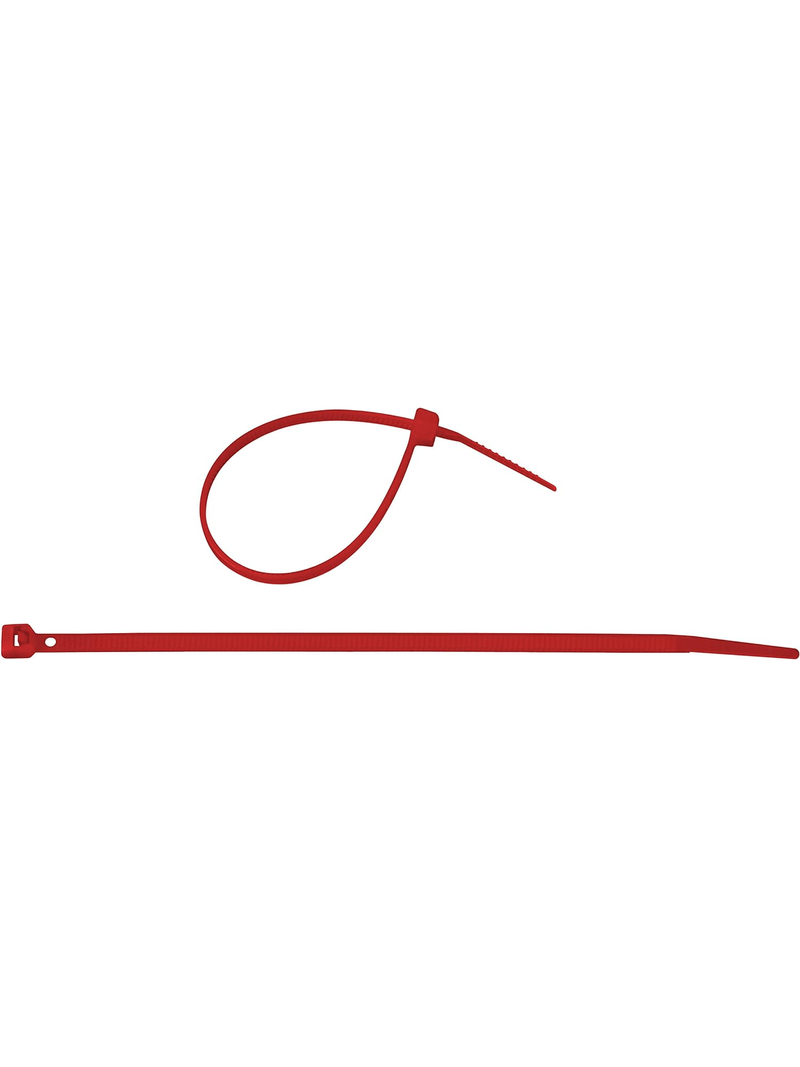 2861364-ABRACADEIRA-NYLON-4.5X200MM-20PC-AMOEDO