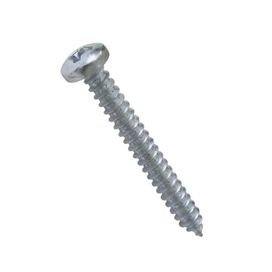 Parafuso Auto Atarraxante CPA 4,2x38mm 10 Peças Bemfixa