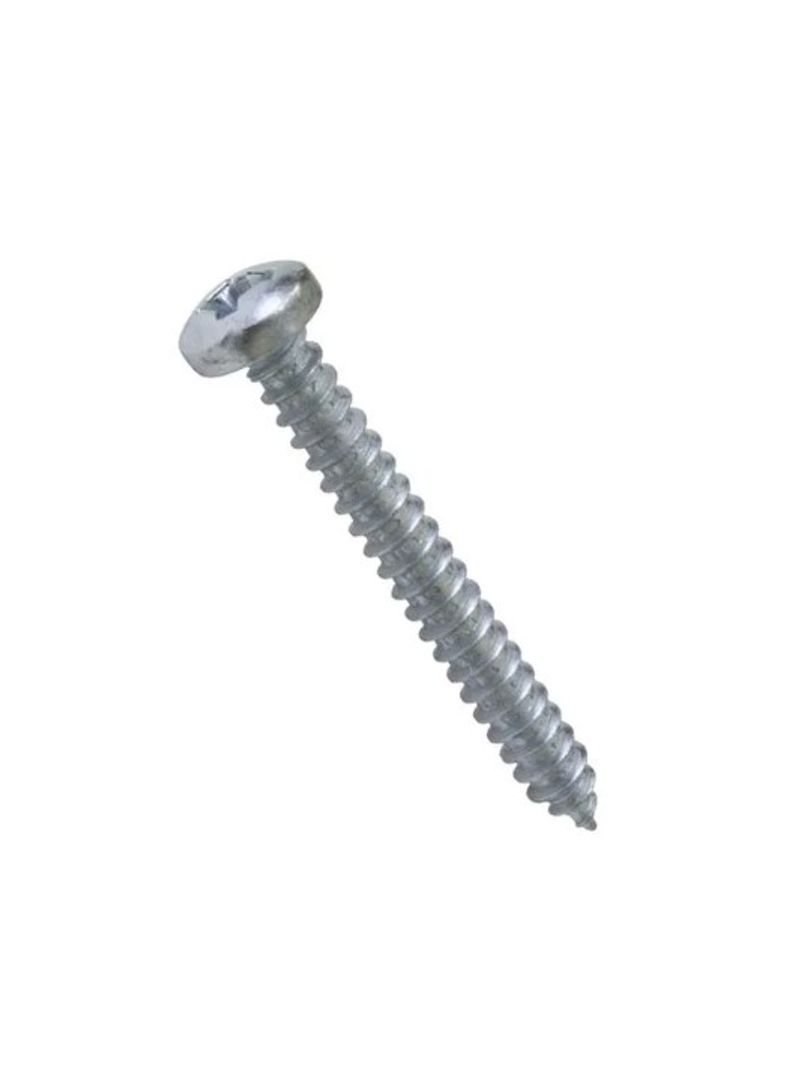 1757244-PARAFUSO-AUTO-ATARRAXANTE-CPA-42X38MM-Amoedo