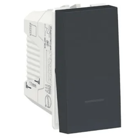 Modulo Interruptor Simples 1M 10A Orion Grafite 250V Schneider Prime