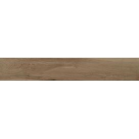 Porcelanato 19,7x120 Reserva Natural Acetinado Retificado Eliane
