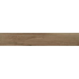 Porcelanato 19,7x120cm Reserva Natural Eliane