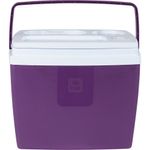 2334170-CAIXA-TERMICA-19L-ACAI---AMOEDO--1-