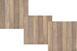 2050255-Piso-62x62-Garden-Plus-AD-HD-Acetinado-Bold-Cecafi-2-Amoedo