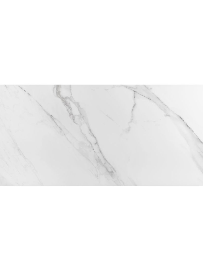 2189347-PORCELANATO-60X120-PLACE-POL-RET-Amoedo1