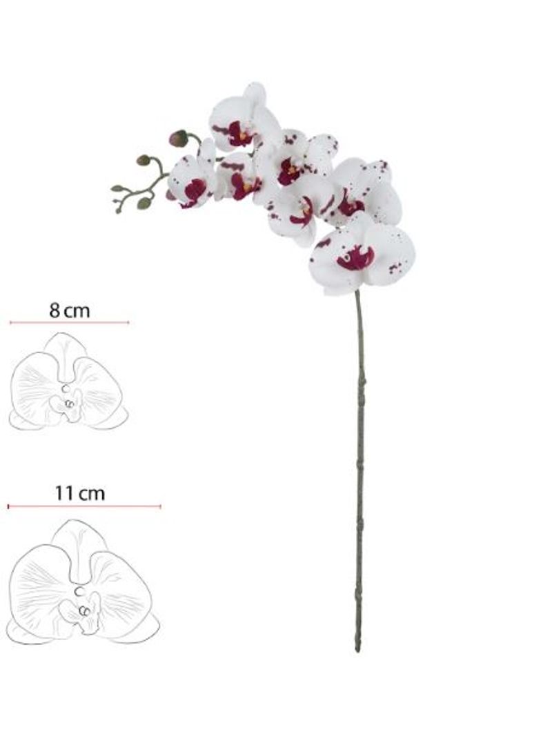 2344612-HASTE-ORQUIDEA-PHALAENOPSIS-REAL-TOQUE-X7--BRANCO-BORDO--82cm--Amoedo