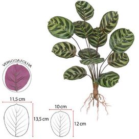 Árvore Calathea com Raiz X12 Verde Creme Flor Arte