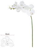 2344646-HASTE-ORQUIDEA-PHALAENOPSIS-REAL-TOQUE-X6--BRANCO-PURO--82cm-Amoedo