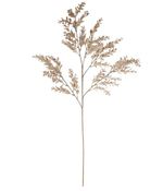2344060-GALHO-BUXUS-C-PRINT-PLT-X37--NUDE--105m--Amoedo