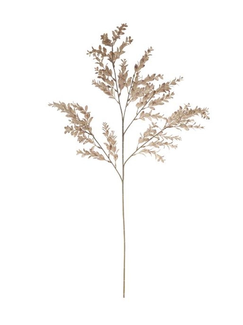 2344060-GALHO-BUXUS-C-PRINT-PLT-X37--NUDE--105m--Amoedo