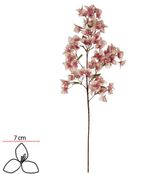 2344701-HASTE-BOUGAINVILLE-X75--ROSA-2T--99cm--Amoedo