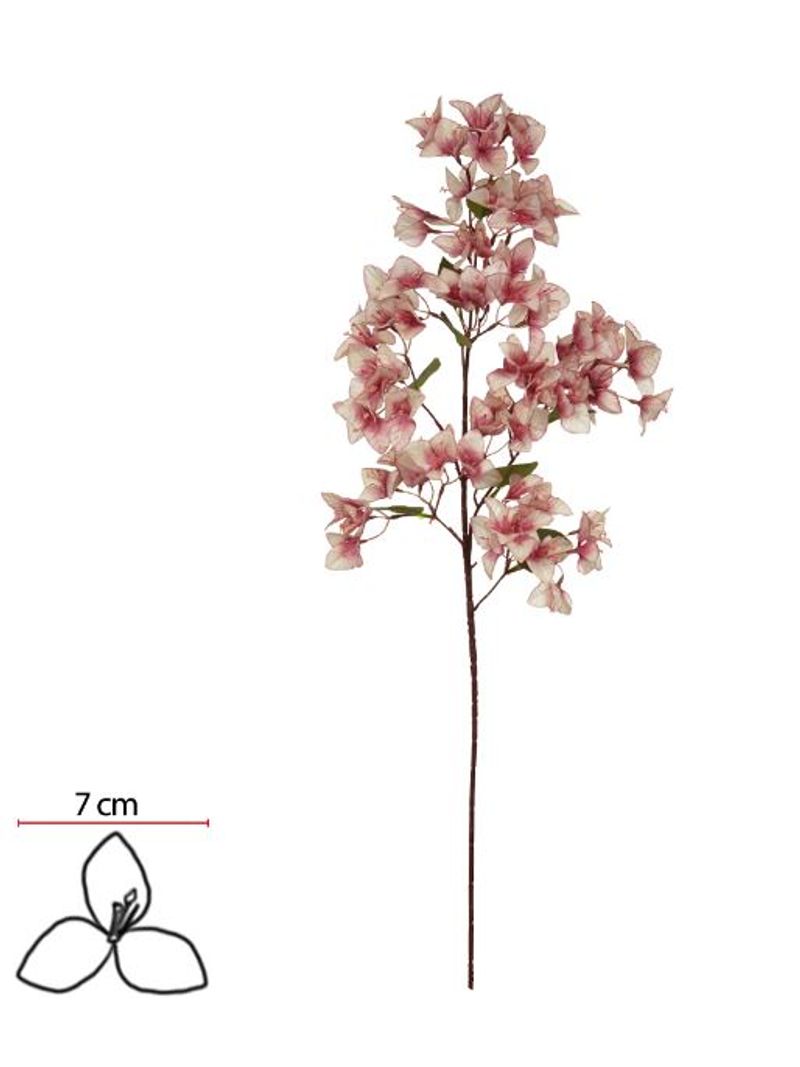 2344701-HASTE-BOUGAINVILLE-X75--ROSA-2T--99cm--Amoedo