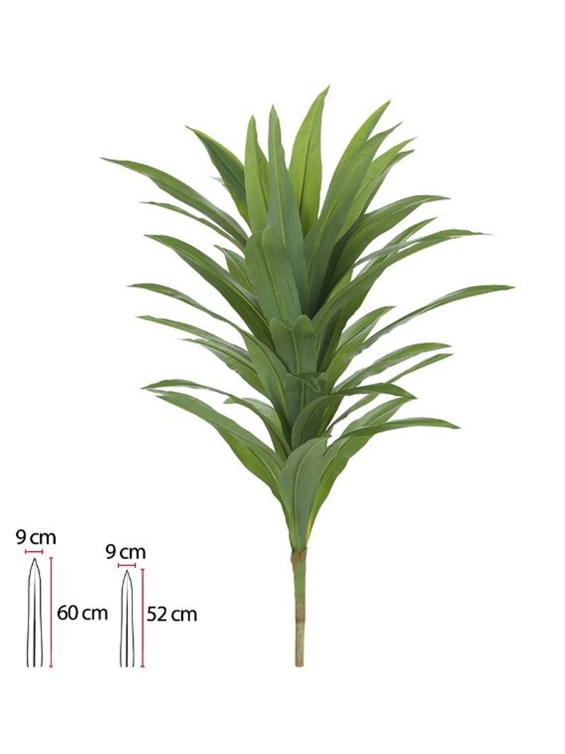 2342937-ARVORE-DRACENA-REAL-TOQUE-X39--VERDE--118m--Amoedo