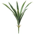 2343608-FOLHA-ORQUIDEA-REAL-TOQUE-CYMBIDIUM--VERDE-CREME--59cm--Amoedo