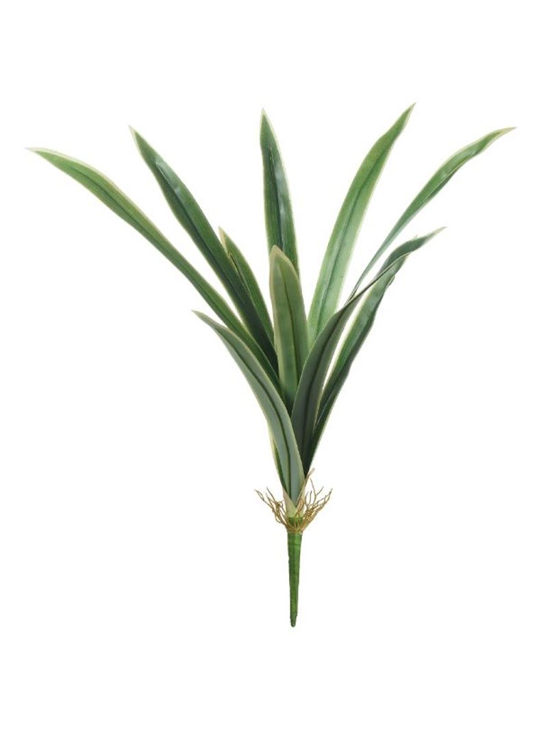 2343608-FOLHA-ORQUIDEA-REAL-TOQUE-CYMBIDIUM--VERDE-CREME--59cm--Amoedo