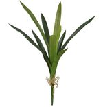 2343616-FOLHA-ORQUIDEA-REAL-TOQUE-CYMBIDIUM--VERDE--59cm---Amoedo