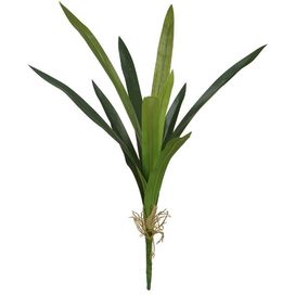 Folha Orquídea Cymbidium 59cm Verde Flor Arte