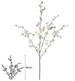 2275693-HASTE-FLOR-CEREJEIRA-X37--CREME--90cm---Amoedo
