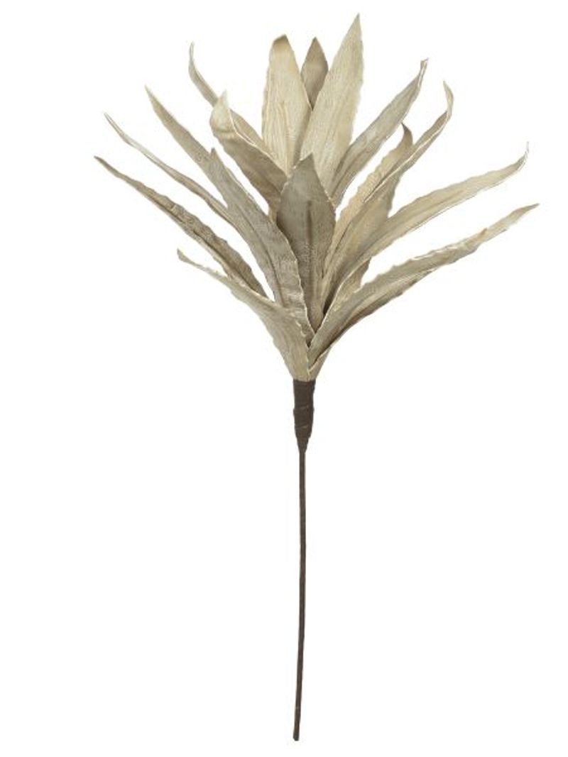 2343543-DRACENA-EVA-X18--PALHA--90cm-Amoedo
