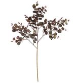 2344094-GALHO-EUCALIPTO-X144--MARSALA--77cm--Amoedo