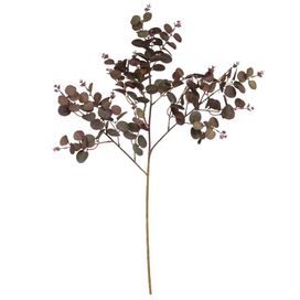 Galho Eucalipto X144 77cm Marsala Flor Arte