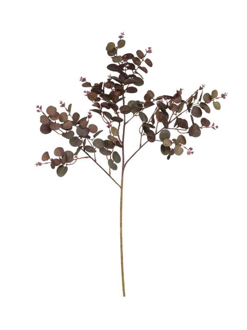 2344094-GALHO-EUCALIPTO-X144--MARSALA--77cm--Amoedo