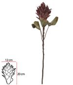 2344816-HASTE-PROTEA--MARSALA--75cm--Amoedo