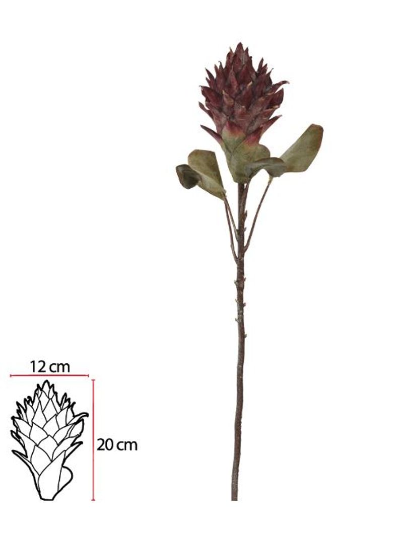 2344816-HASTE-PROTEA--MARSALA--75cm--Amoedo