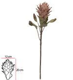 2344824-HASTE-PROTEA--PALHA--75cm-Amoedo