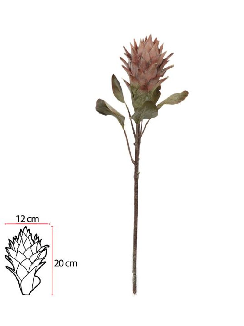 2344824-HASTE-PROTEA--PALHA--75cm-Amoedo