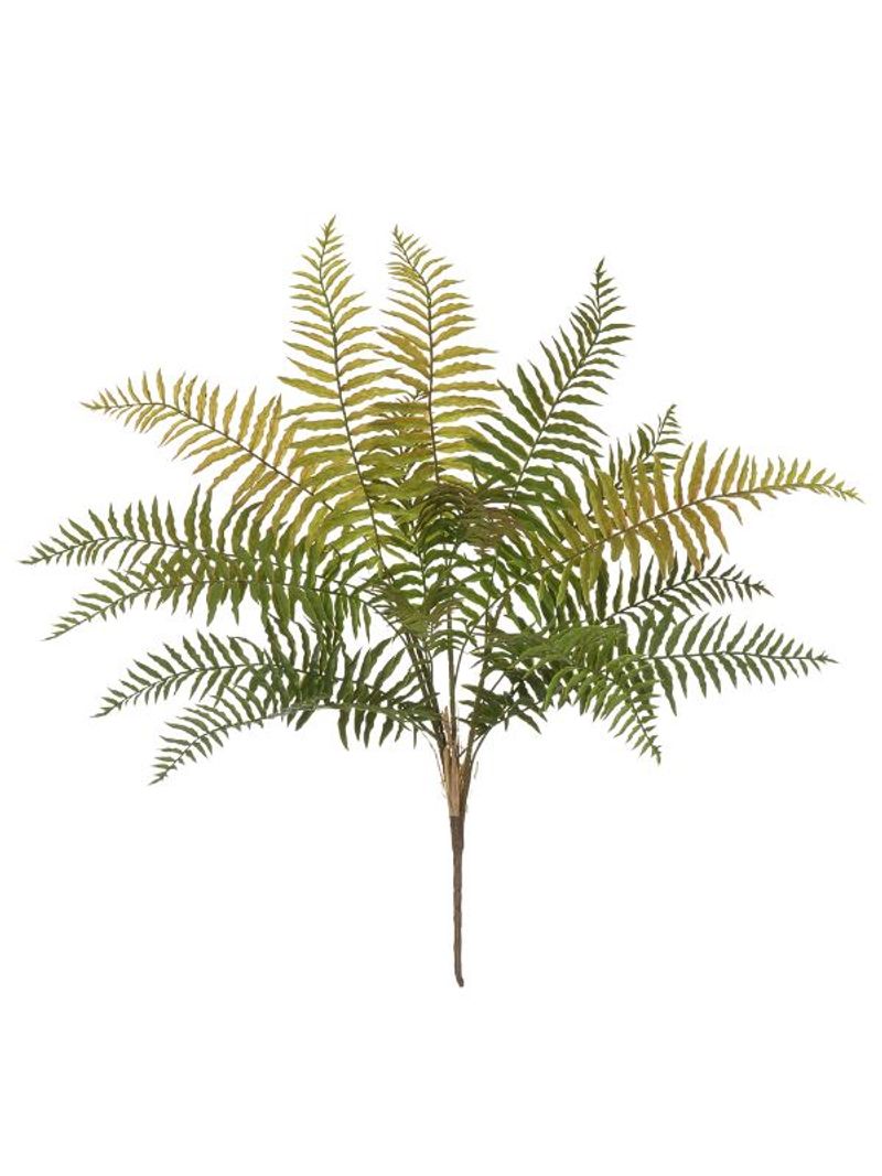 2344840-SAMAMBAIA---VERDE-OUTONO--68cm-Amoedo