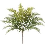 2343975-FOLHAGEM-SAMAMBAIA-C-PRINT-PLASTICO-X12--VERDE--74cm-Amoedo